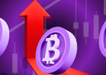 Bitdeer Increases Bitcoin Holdings, Now Holds 1,675.9 BTC