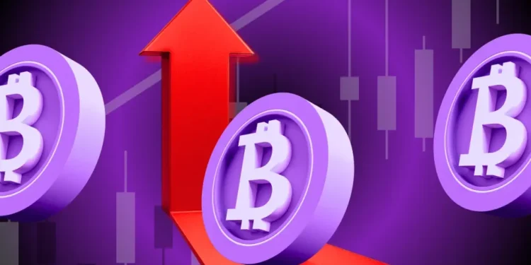 Bitdeer Increases Bitcoin Holdings, Now Holds 1,675.9 BTC