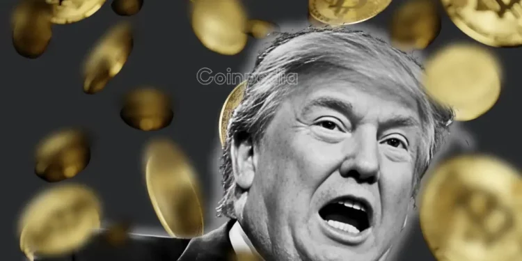 WLFI, Backed by Trump, Launches Points Program to Reward Crypto Users