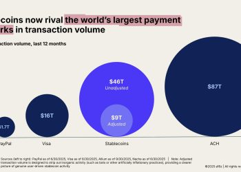 The $308 billion question: Can stablecoins thrive amid China ban?