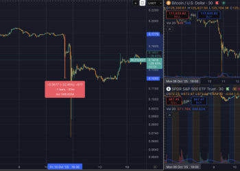 The Big Bitcoin Short (Part 2): Rumor mill suspects link to US government insiders