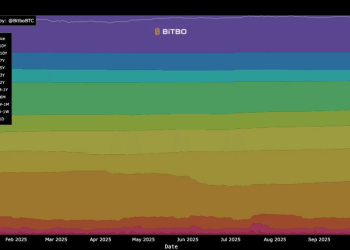 Over 61% of BTC hasn’t moved in a year: What it means for Bitcoin price