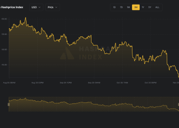 Bitcoin mining profitability sinks to 2-year low as miners split