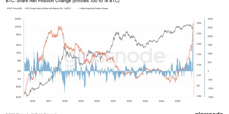 Bitcoin’s viral $5 billion whale buy signal was actually a dangerous trap set by institutional accounting