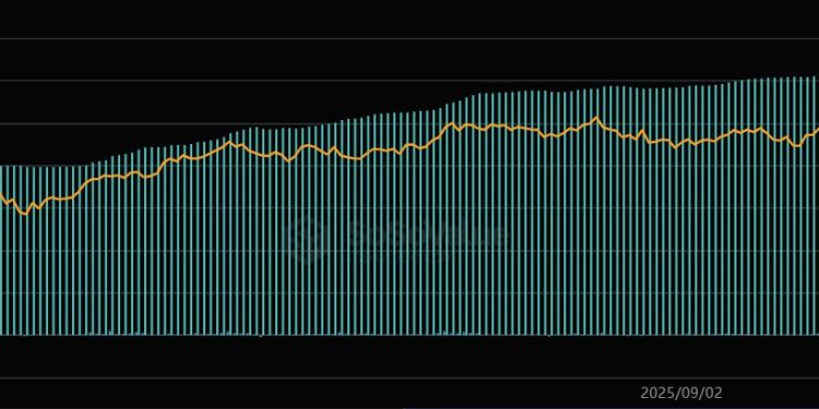 The top 12 crypto winners of 2025: who got it right this year?