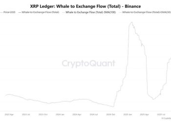While Ethereum whales rotate, XRP data shows a fatal concentration flaw that leaves one group holding the bag.