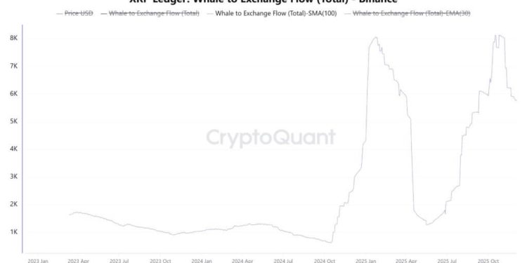 While Ethereum whales rotate, XRP data shows a fatal concentration flaw that leaves one group holding the bag.