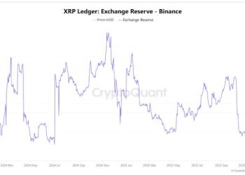 Ripple is winning on Wall Street and in the UK, but the XRP Ledger is losing users fast and the split will define 2026