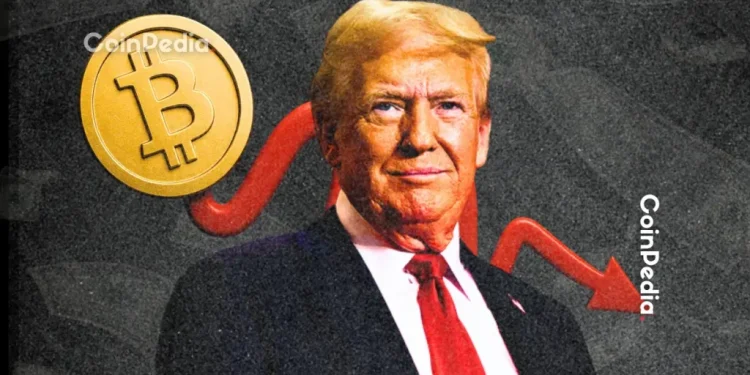 How Hard Has the Crypto Market Crash Hit Donald Trump’s Holdings?