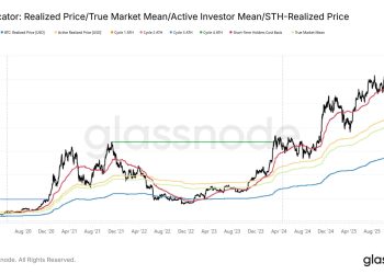 Bitcoin whales are dumping massive amounts of supply on exchanges as liquidations mirror the 2022 FTX market collapse