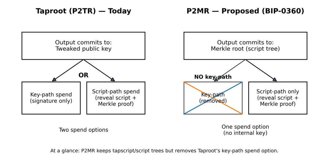 This “quantum-safe” Bitcoin idea removes Taproot’s key-path — and raises fees on purpose