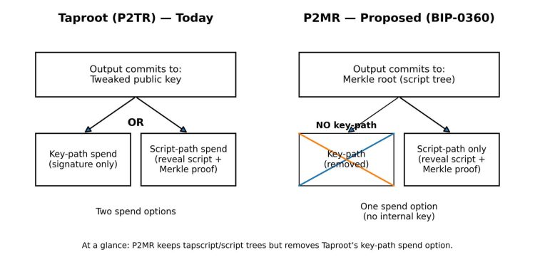 This “quantum-safe” Bitcoin idea removes Taproot’s key-path — and raises fees on purpose