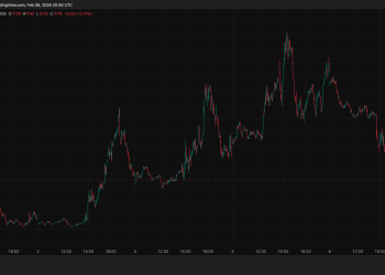 Bitcoin short term holders are panic selling at a loss but was this capitulation or just a leverage reset?