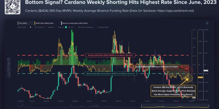 Cardano ADA shorts spike to highest since June 2023 as 71% crash meets Midnight launch this week risk