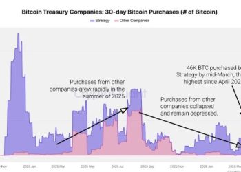 The $100 billion corporate Bitcoin surge is down to one buyer as other companies stop adding