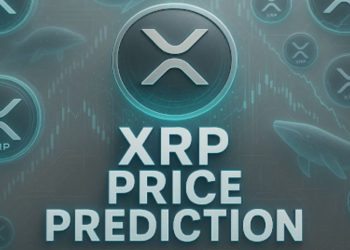 New Crypto Remittix Set To Skyrocket – XRP Price Predictions From Top Analysts