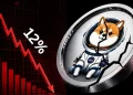 Asteroid Shiba Price Crashes 12% After 700,000% Rally: What Comes Next?