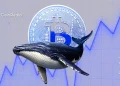 Bitcoin Whales Accumulate 270,000 BTC