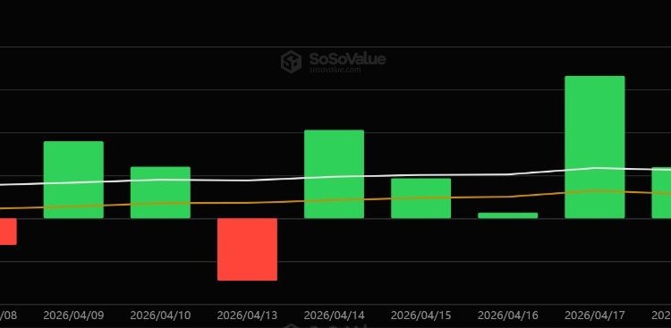 Bitcoin ETFs hit the longest inflow streak of the year in bullish setup for a major recovery