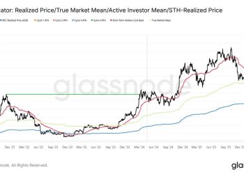 Bitcoin’s rally is still just a bear market bounce unless it reclaims this key level