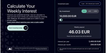Rethinking Crypto Investment Strategies in a Market That Doesn’t Always Go Up