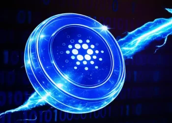 Cardano Whales Accumulate Record ADA Holdings as Retail Selling Surges—Will ADA Price Recover?