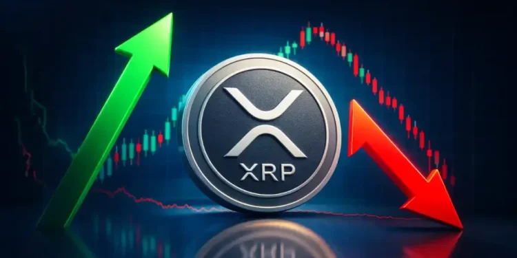 Ripple News: XRP Whale Wallets Hit Record High as ETF Holdings Climb to $1.44 Billion