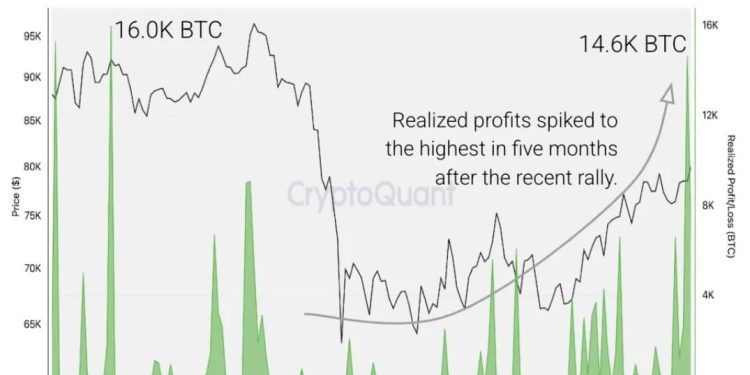 Bitcoin briefly slips below $80,000, but options traders are betting the dip won’t last
