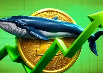Bitcoin Whales Defy $77K Drop as Large Wallets Surge 11%