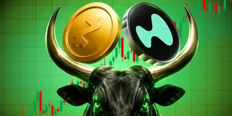 Zcash & Hyperliquid Defy Crypto Market Weakness—Are Bulls Preparing for a Bigger Recovery?
